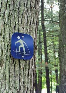 Ski rule signal fixed on to a tree