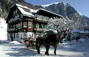 Two horses with winter sledge in front of the Hoteldorf Gruner Baum ski resort in Austria