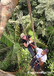 Asa Gislason tree climbing Amazon Jungle