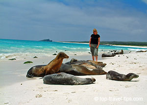 Asa Gislason with Sea Lions in Galapagos
