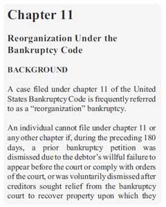 Chapter 11 US bankrupcy law