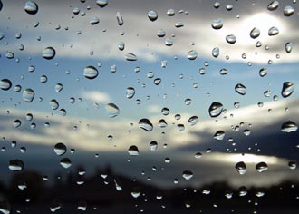 Rain drops on a window