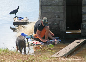 Woman preparing food on the Amazon river in Brazil with pig watching